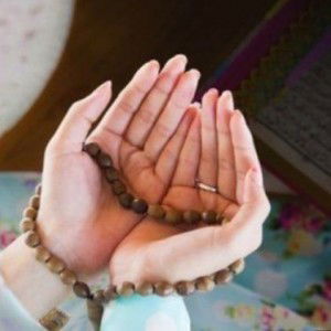 Fitri Ani profile icon