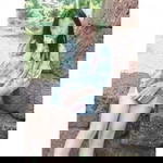 Nanticha Panna profile icon