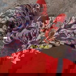 Mella R S profile icon