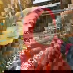 Uli Bastian profile icon