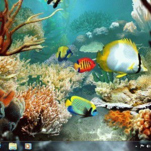 Mar'atus Sholihah profile icon