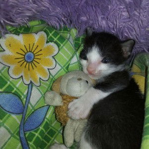 Umi Umaroh profile icon