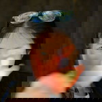 Peeraporn Pongthaisong profile icon