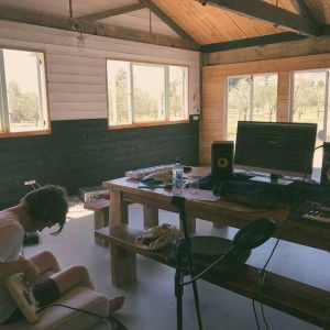 Verde Vlesk profile icon