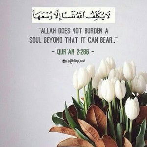 suci damayanti profile icon