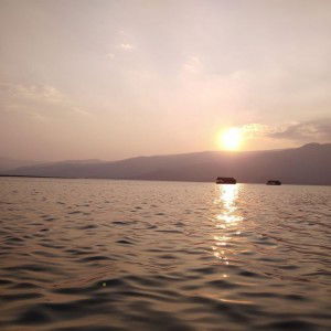 Taye Paewpan profile icon