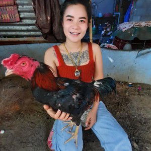 จิตชนก อัมวงศ์ profile icon