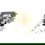 ขวัญ ญ. profile icon