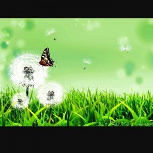 Thao Nguyen profile icon