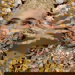 Vhia Alfiani Thamrin profile icon