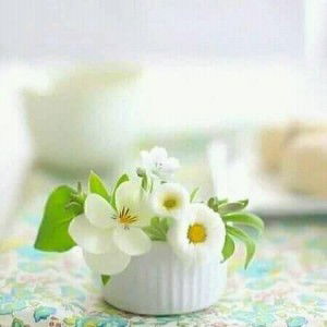 Nina Karlina profile icon