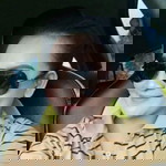 Patricia Anita Santhi Pratiwi profile icon