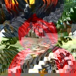 Quỳnh Ngọc Phạm profile icon