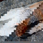 Nuchada Chinchoteeranun profile icon