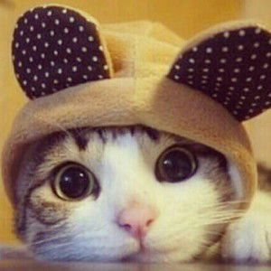 Roxana Sy profile icon