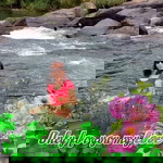 Tuyết Năng profile icon