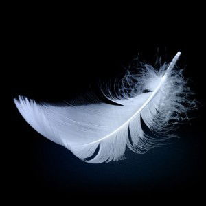 Delia Rizky profile icon