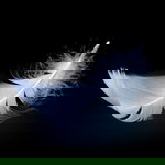 Delia Rizky profile icon