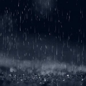 Nguyễn Nhân profile icon