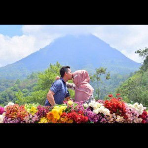 Ninin Sofie profile icon