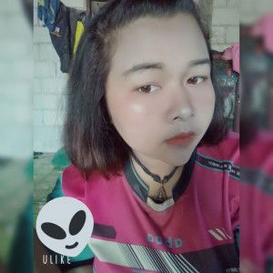 หงส์ฟ้า โล่ห์คำ profile icon