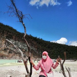 Aminah Ahmad profile icon