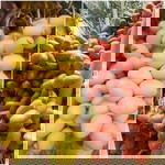 Heni Septining Widayanti profile icon