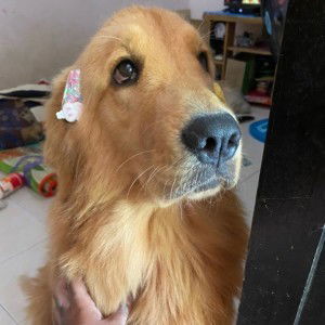 นารี นาถ profile icon