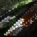 Fauziah Widiastuti profile icon