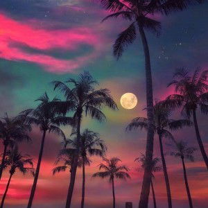 Cecelia Tran profile icon