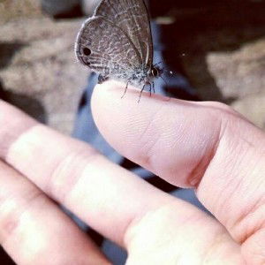 FaudimDim _ profile icon