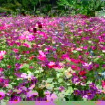 Yaowared Kunjun profile icon