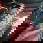 Atta halilintar profile icon