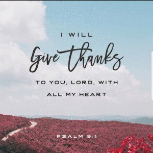 Michelle Griffin profile icon