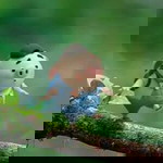 Pumpuipun profile icon