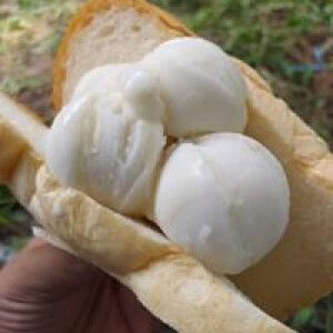 ปริศนา กิจบุญ profile icon