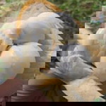 ปริศนา กิจบุญ profile icon