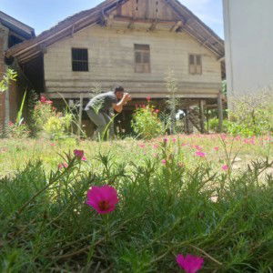 Reva Feronika profile icon