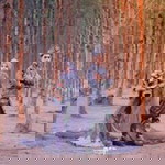 Hasmarina Hamzah profile icon