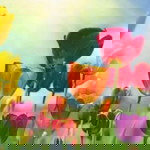 Puk pop profile icon