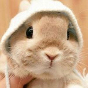 Saowhpak Laongtomg profile icon