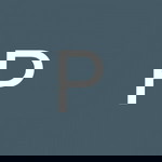 Pim Ruengapisiri profile icon