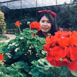 Ple Phenpak profile icon