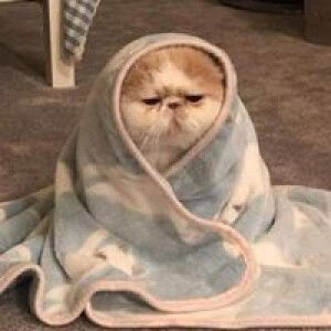 ลัค'ค กี้. profile icon