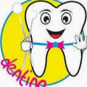 choirul inayah profile icon