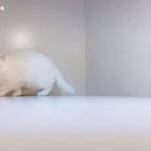 Đặng Thị Trúc Ly profile icon