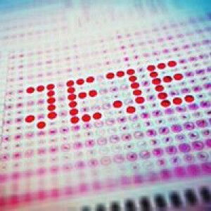 Ajeng Kartika Nugraheni Syafitri profile icon