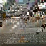 Min Min profile icon