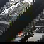 Donna Cortuna profile icon