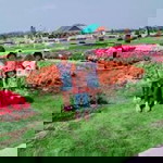 นภาลัย สีจันทร์ profile icon